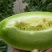 【支持一件】玉菇甜瓜,冰淇淋口感香甜,婴儿都可以吃的