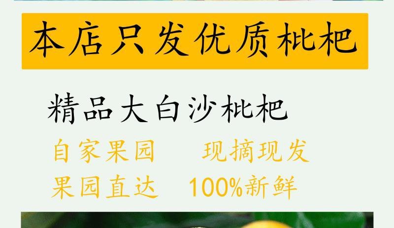 白沙白玉枇杷孕妇水果不打农药果园直销3斤