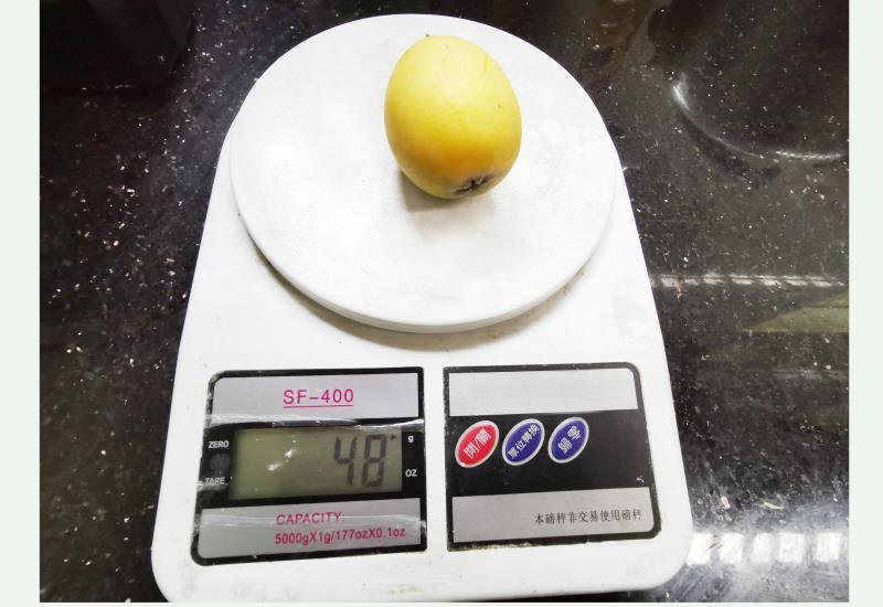 白沙白玉枇杷孕妇水果不打农药果园直销3斤