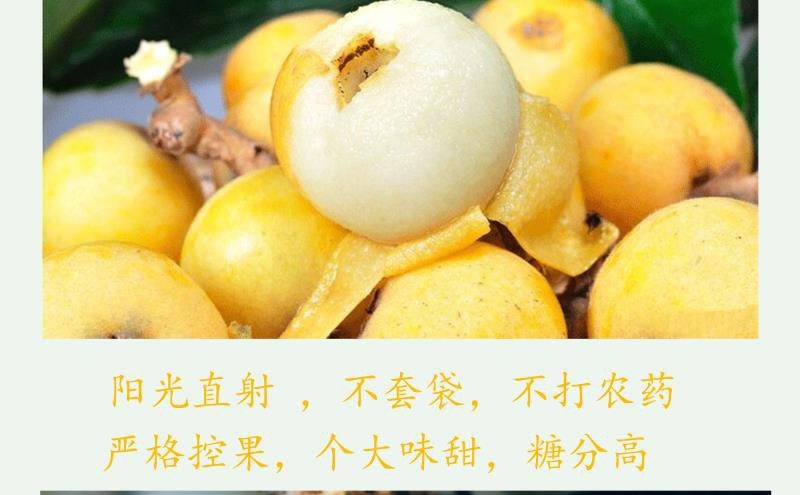 白沙白玉枇杷孕妇水果不打农药果园直销3斤