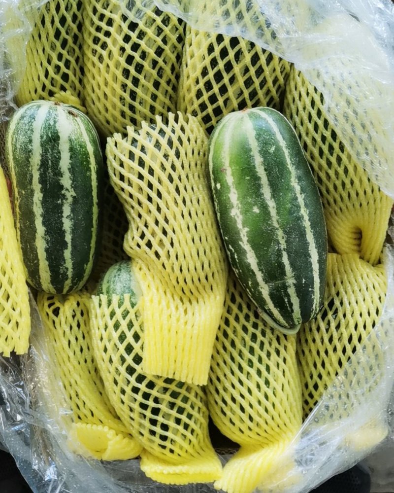 甜瓜大量供应
