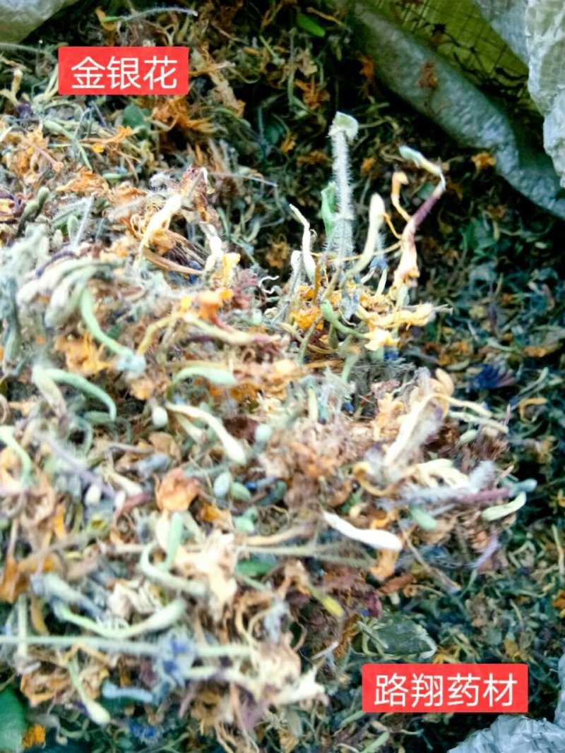 金银花2023年新货非种植色泽好
