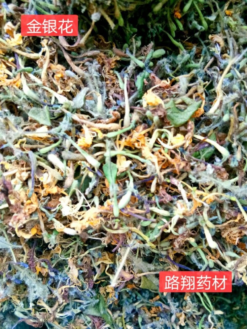 金银花2023年新货非种植色泽好