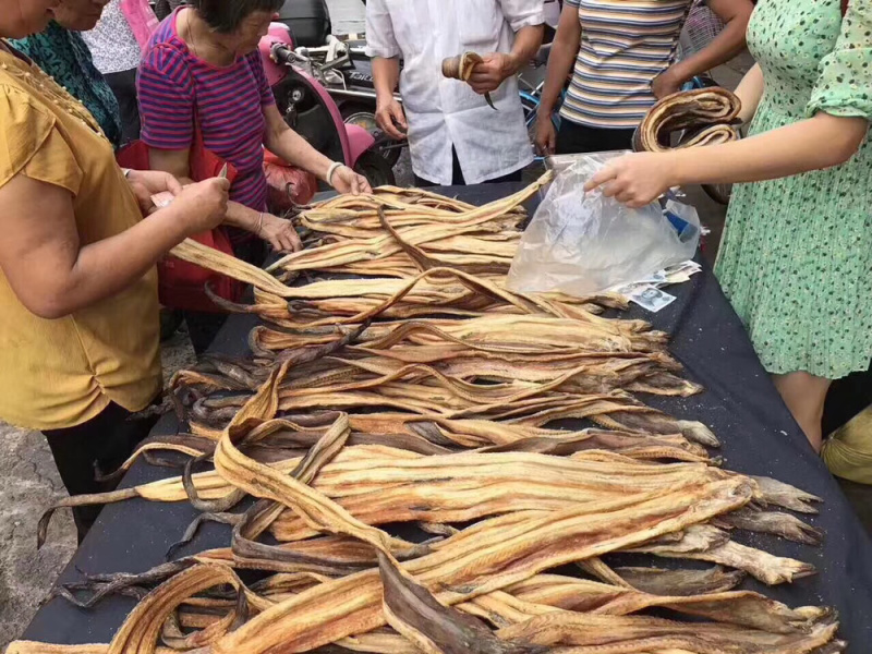 鳗鱼干只要你出摊各大小市场都好卖【摆摊赶集】