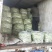 白不老，30cm以上，万亩基地，可视频看货