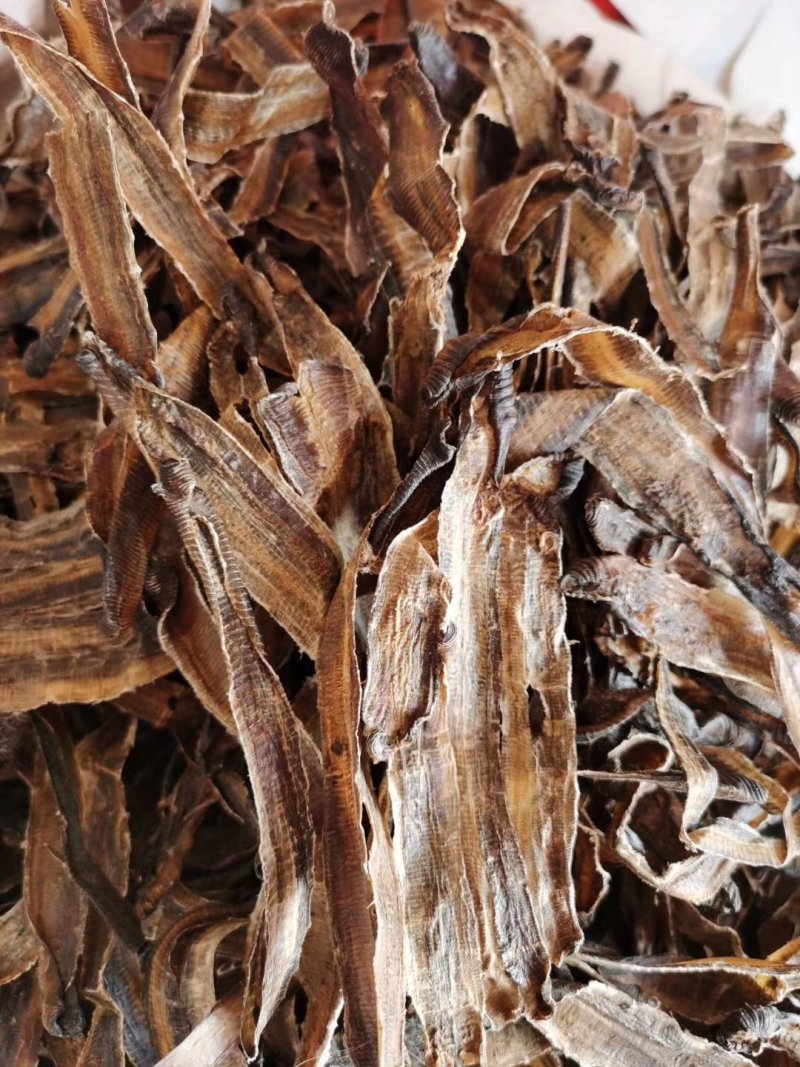 地龙沪地龙小地龙包邮不要运费