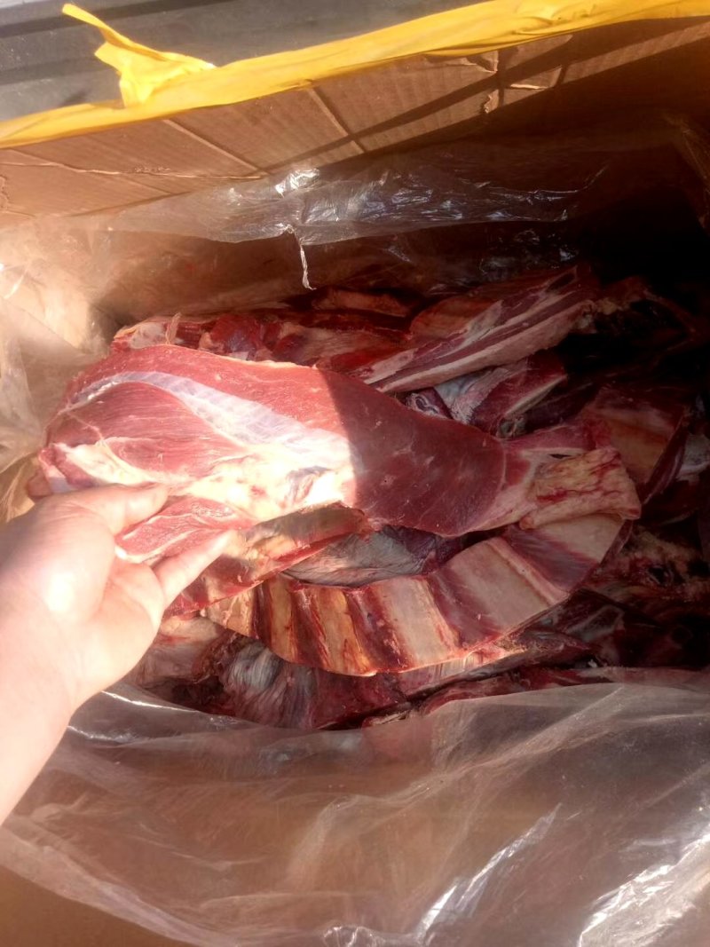 鲜牛纯干多肉鲁西黄牛牛排