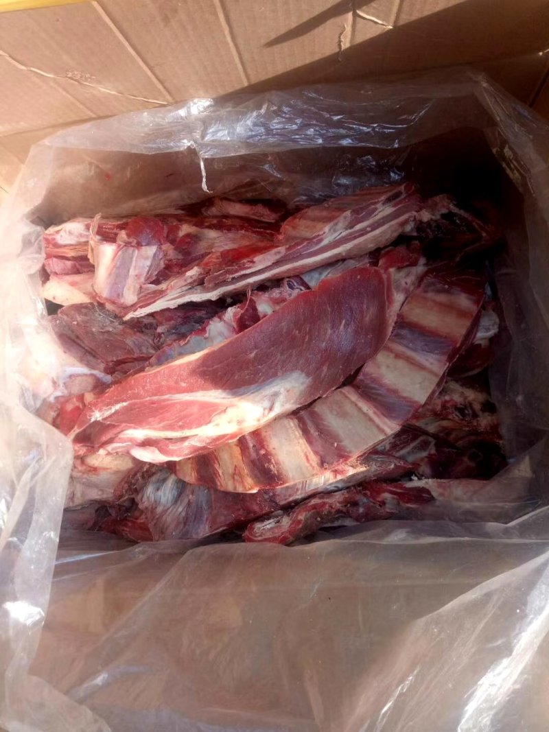 鲜牛纯干多肉鲁西黄牛牛排