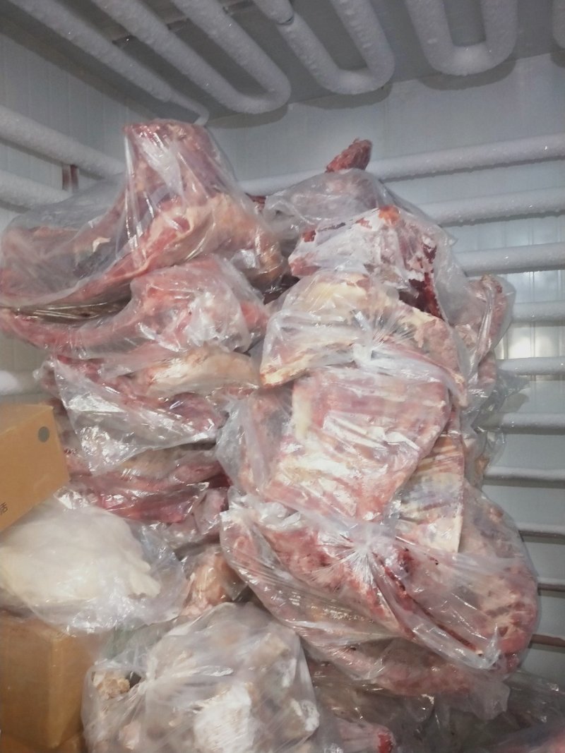 鲜牛纯干多肉鲁西黄牛牛排