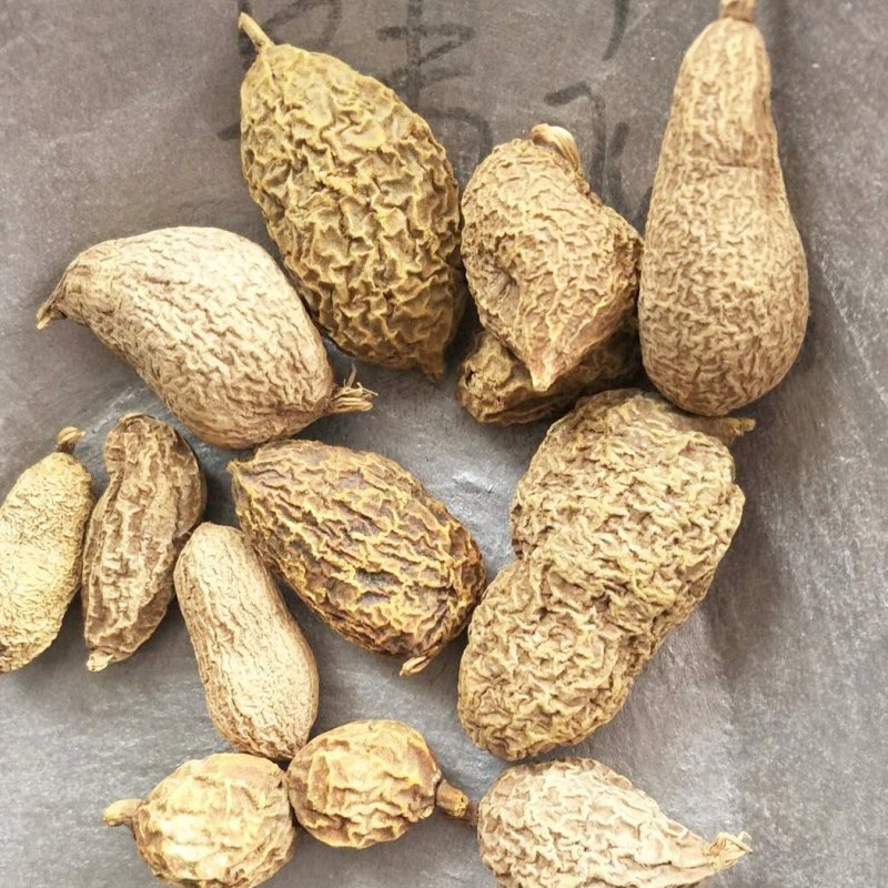 金果榄金果榄藤片包邮不要运费
