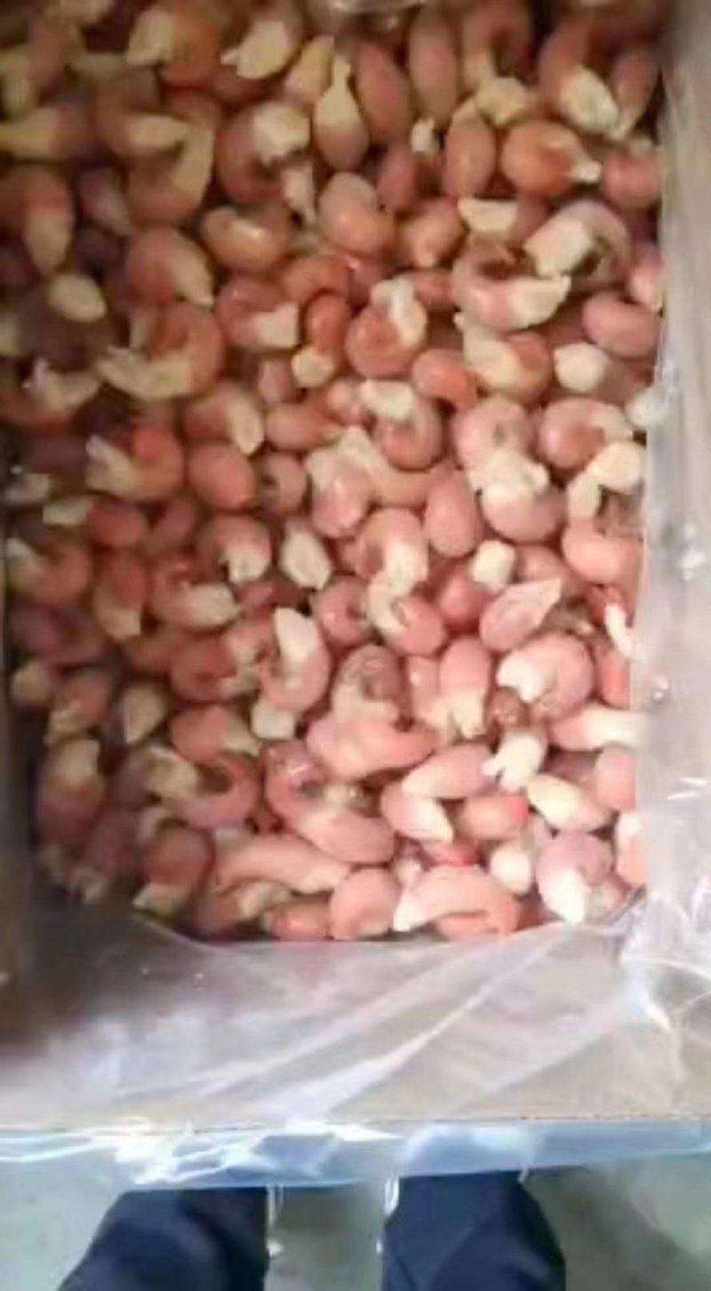大量一级特级虾尾