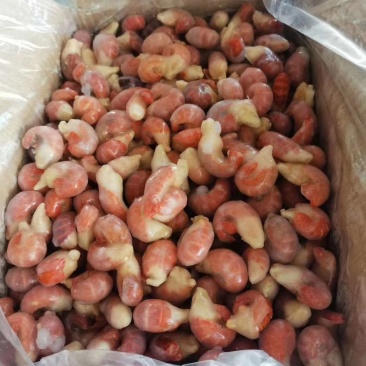 大量一级特级虾尾
