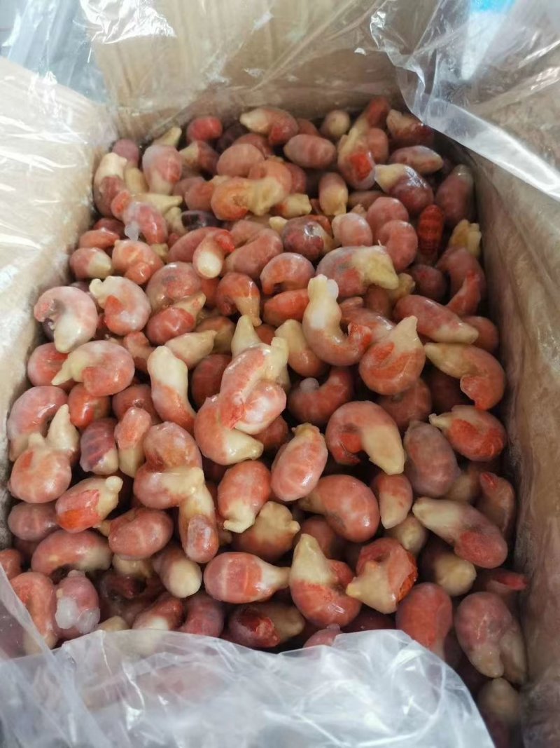 大量一级特级虾尾