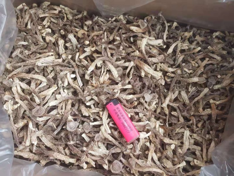 特级切根鹿茸菇，品种齐全