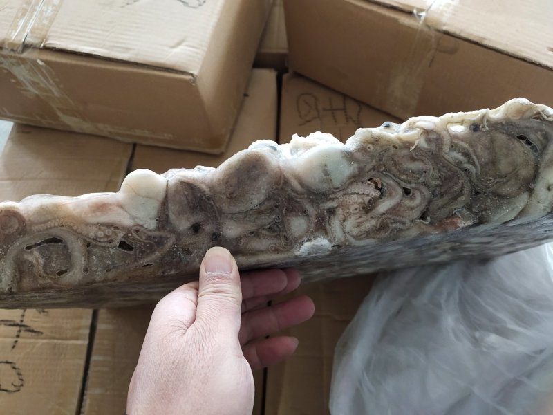 20-40克翻花八爪鱼，八爪鱼原料坐标丹东东港海源水产