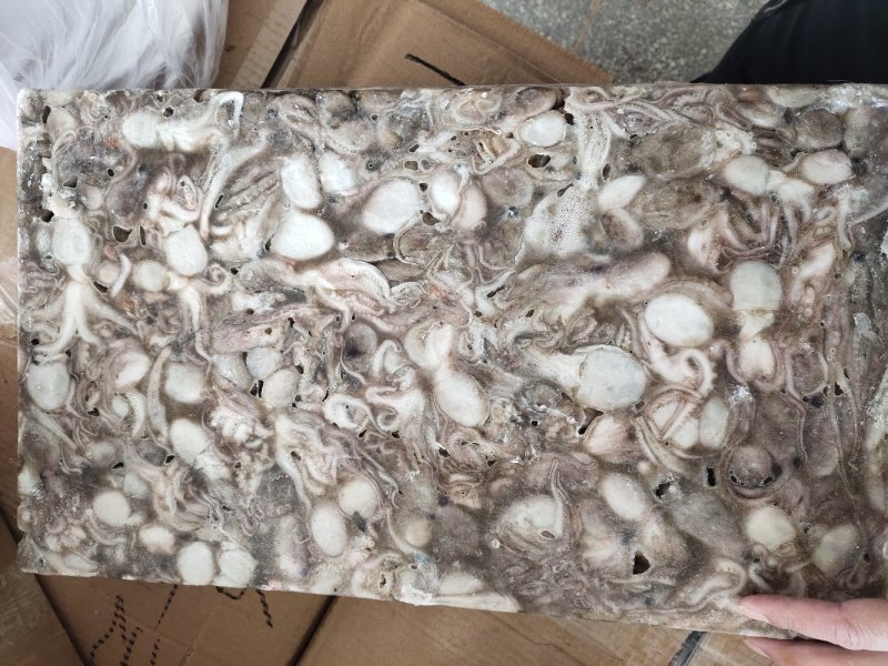 20-40克翻花八爪鱼，八爪鱼原料坐标丹东东港海源水产