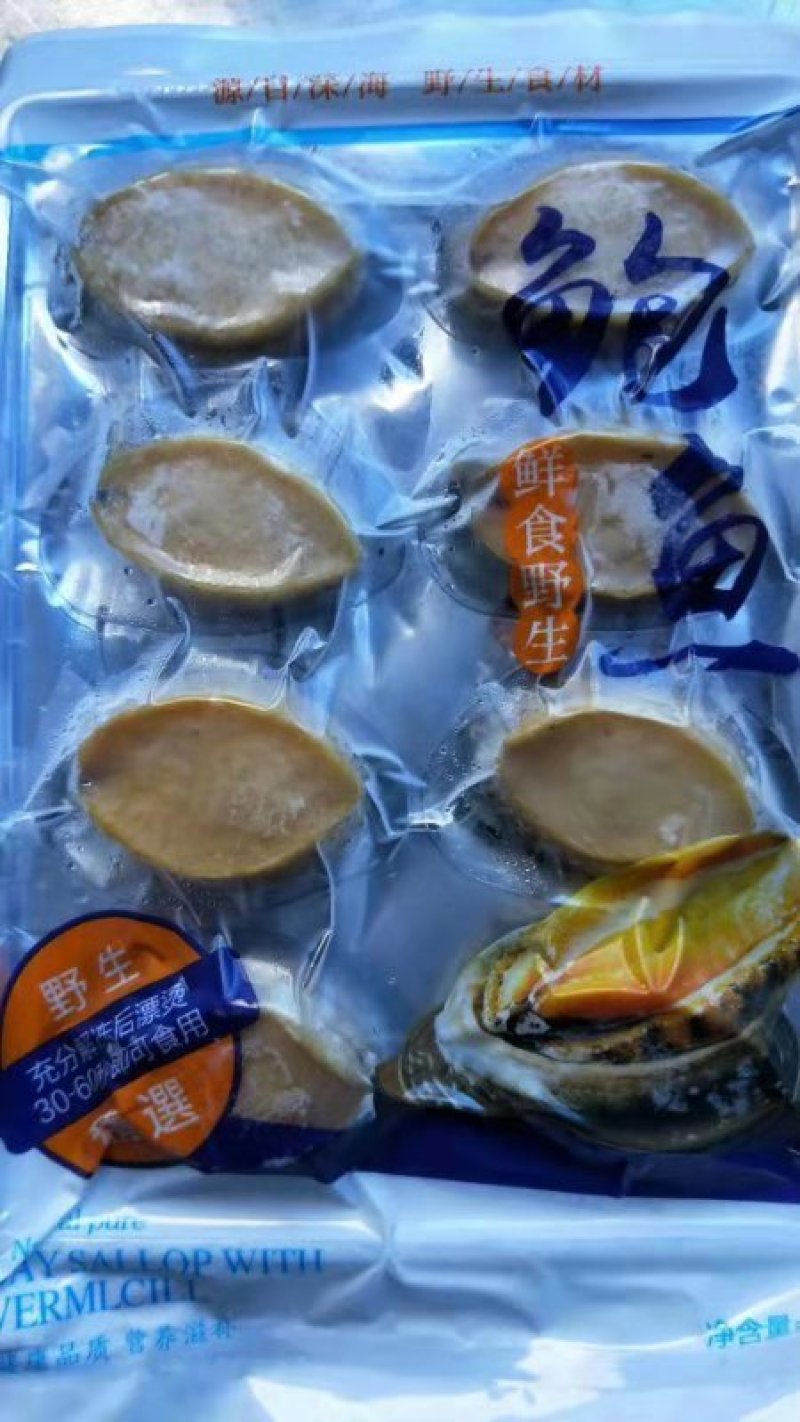 海参食用鲜活