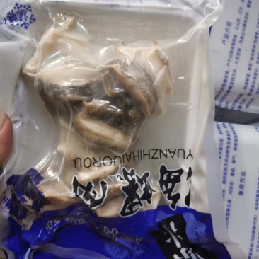 海螺肉五头六头都有货坐标丹东东港海源水产