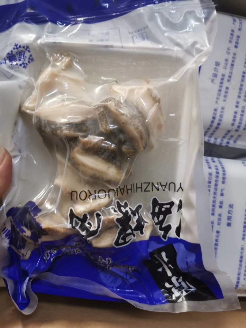 海螺肉五头六头都有货坐标丹东东港海源水产