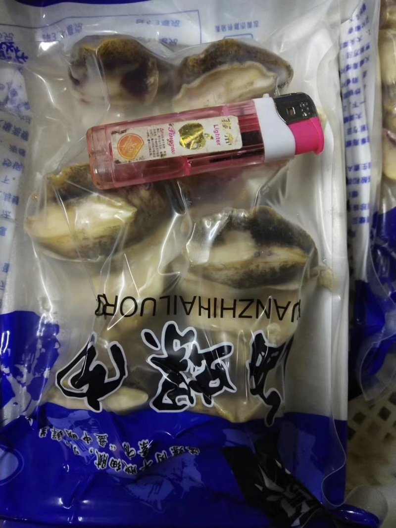 海螺肉五头六头都有货坐标丹东东港海源水产