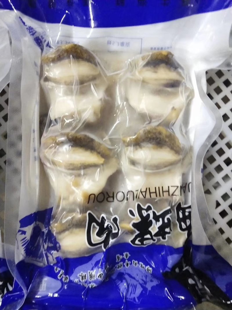 海螺肉五头六头都有货坐标丹东东港海源水产