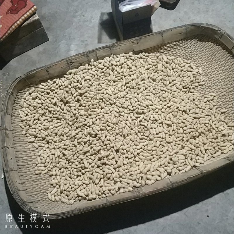 河南天府花生带壳花生米5斤一件铁锅炒花生小粒包邮一件代发