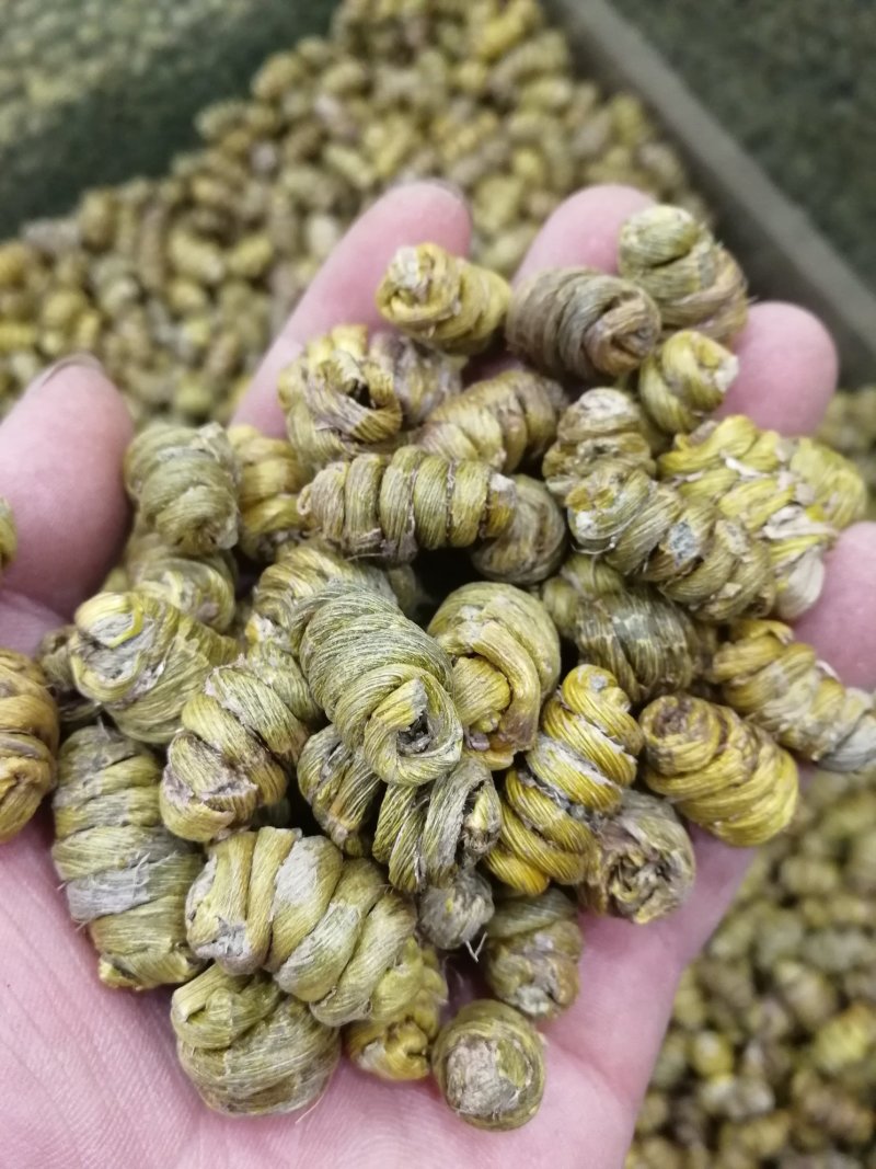 铁皮石斛铁皮石斛枫斗铁皮石斛枫斗产地货源