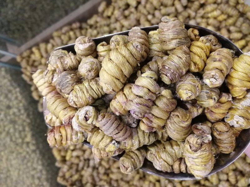 铁皮石斛铁皮石斛枫斗铁皮石斛枫斗产地货源