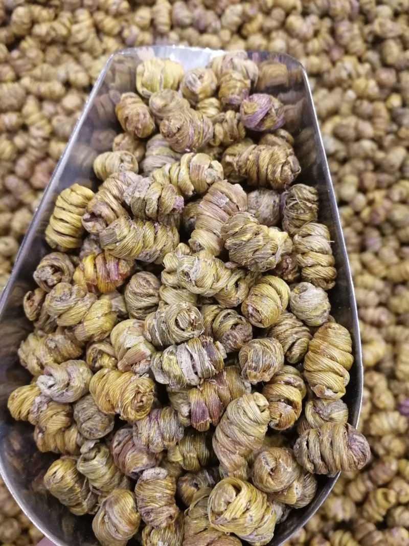 铁皮石斛铁皮石斛枫斗铁皮石斛枫斗产地货源
