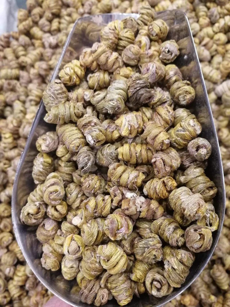 铁皮石斛铁皮石斛枫斗铁皮石斛枫斗产地货源