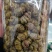 铁皮石斛铁皮石斛枫斗铁皮石斛枫斗产地货源