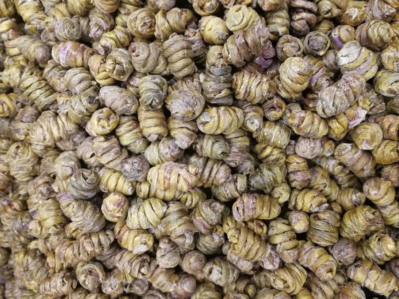 铁皮石斛铁皮石斛枫斗铁皮石斛枫斗产地货源