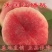 瑞蟠242113101号毛蟠桃苗白肉黄金蟠桃树苗早