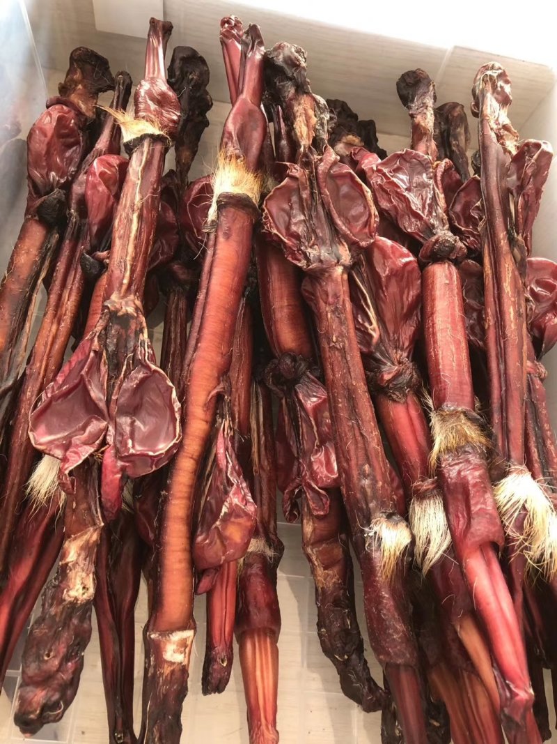 鹿鞭