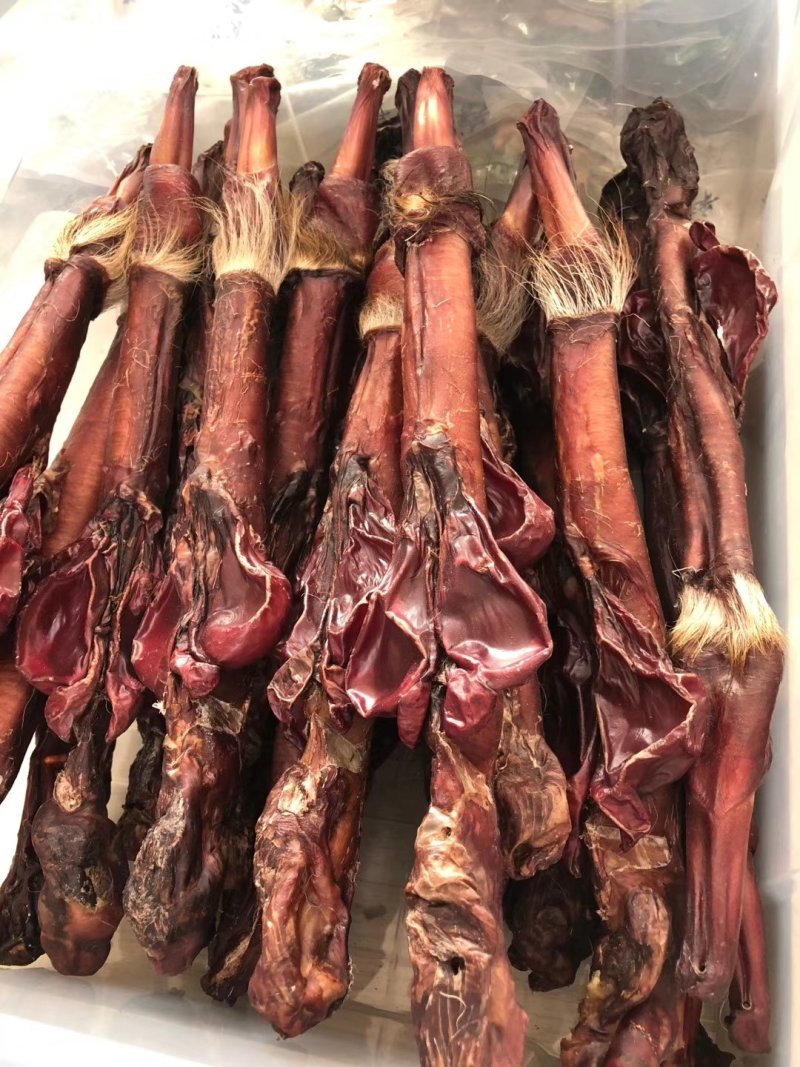 鹿鞭