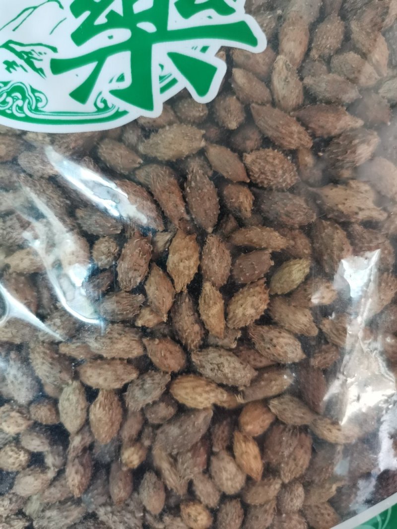 苍耳子内蒙颗粒饱满（生~炒）实物拍摄一公斤起