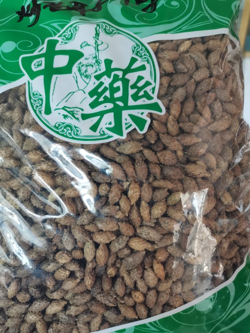 苍耳子内蒙颗粒饱满（生~炒）实物拍摄一公斤起