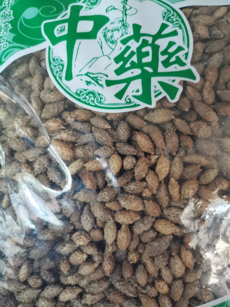 苍耳子内蒙颗粒饱满（生~炒）实物拍摄一公斤起