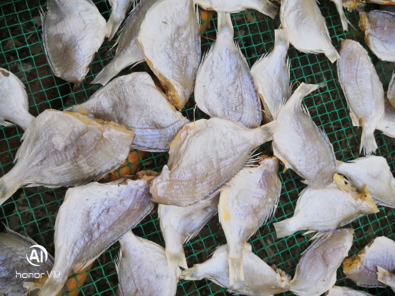 红鲷鱼，红腊鱼干一手货源