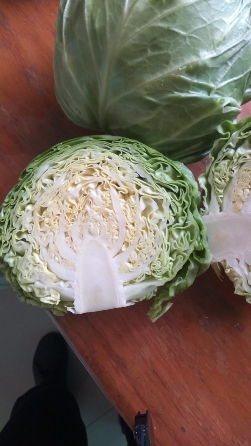 精品甘蓝，地头装车，刚刚上市了，1.5斤以上