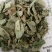 广金钱草新货，桂林货，切片筛粉袋装、积压件