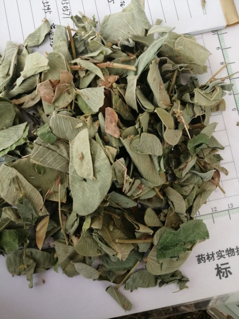 广金钱草新货，桂林货，切片筛粉袋装、积压件
