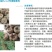 芋农闲魔芋田苗后一年生阔叶科禾本磨芋除草剂云南贵州四川