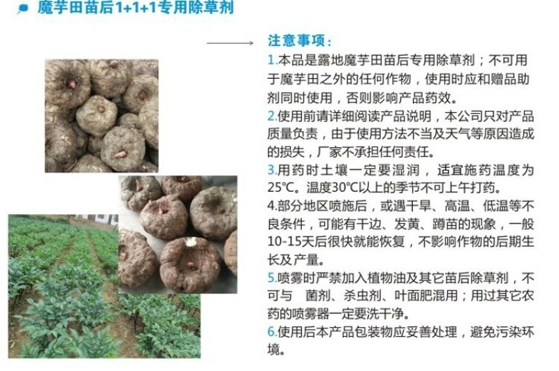 芋农闲魔芋田苗后一年生阔叶科禾本磨芋除草剂云南贵州四川