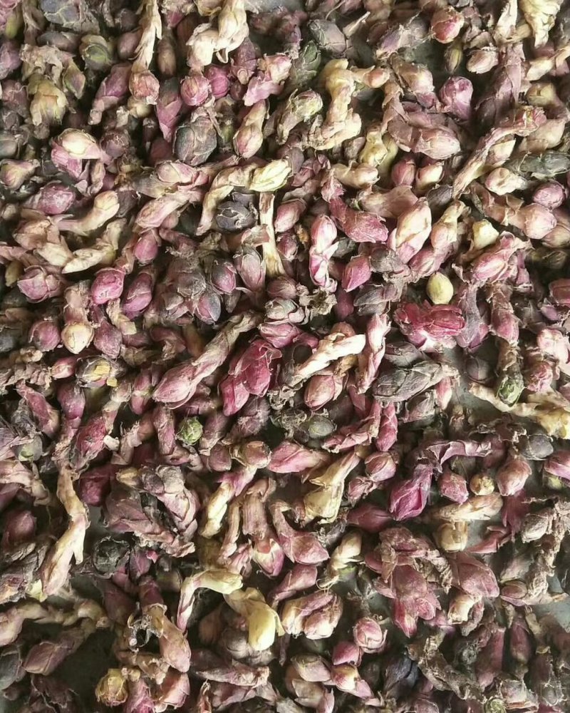 款冬花（干货）有大货统货和选货都有
