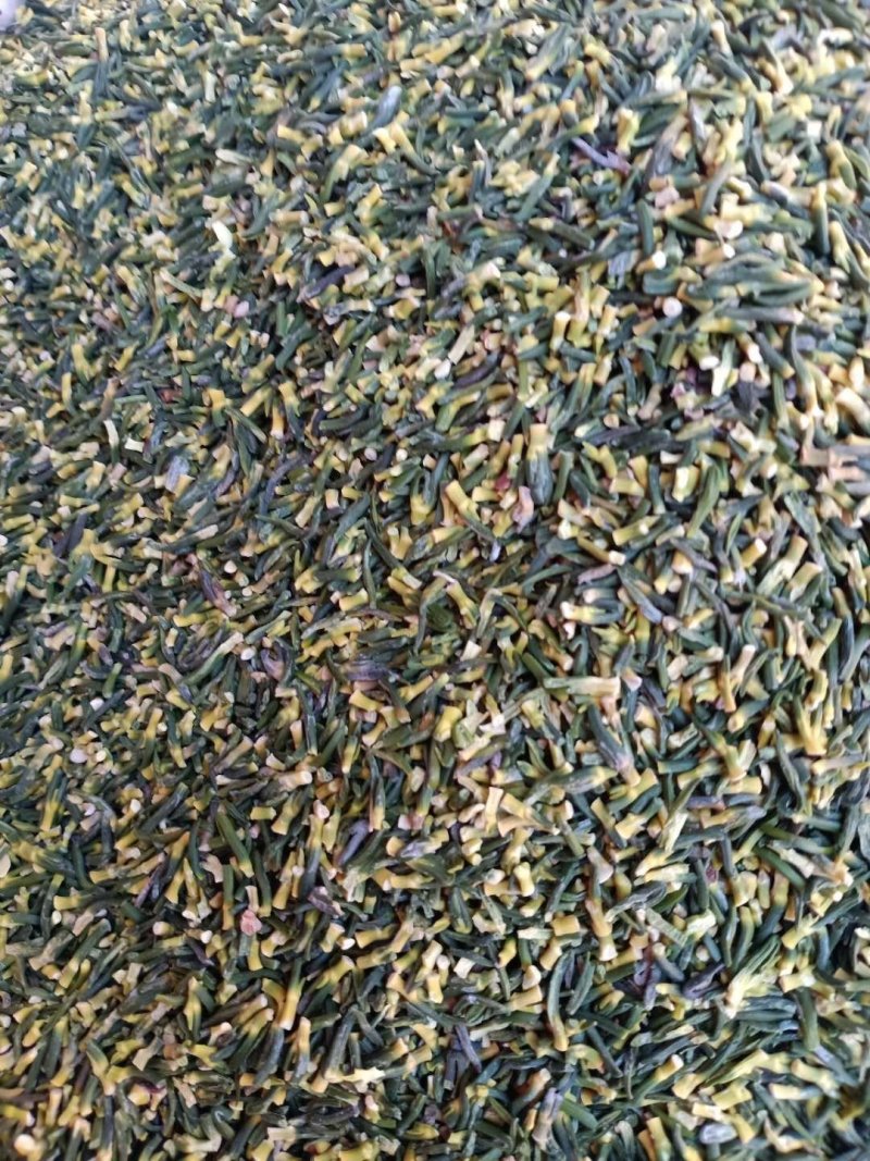 莲子芯！高中低档规格齐全！整件物流包邮！价格优！