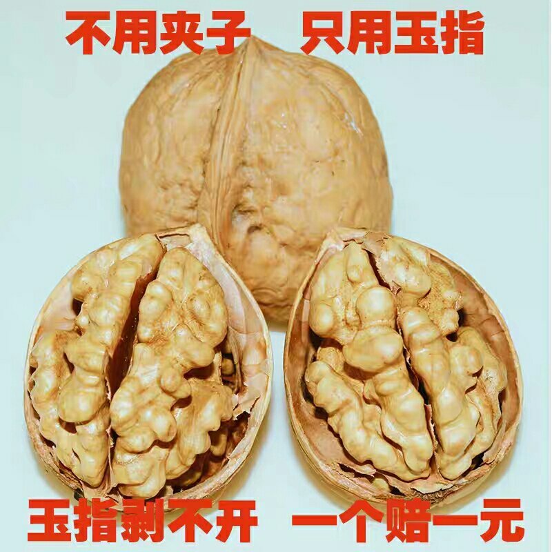 2023新疆纸皮核桃一手货源新货，诚信经营