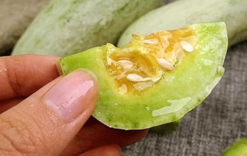 羊角蜜，羊角脆，甜瓜香瓜山东甜瓜香瓜