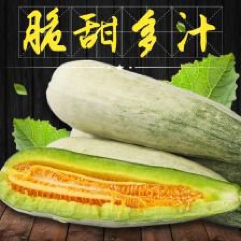 羊角蜜，羊角脆，甜瓜香瓜山东甜瓜香瓜