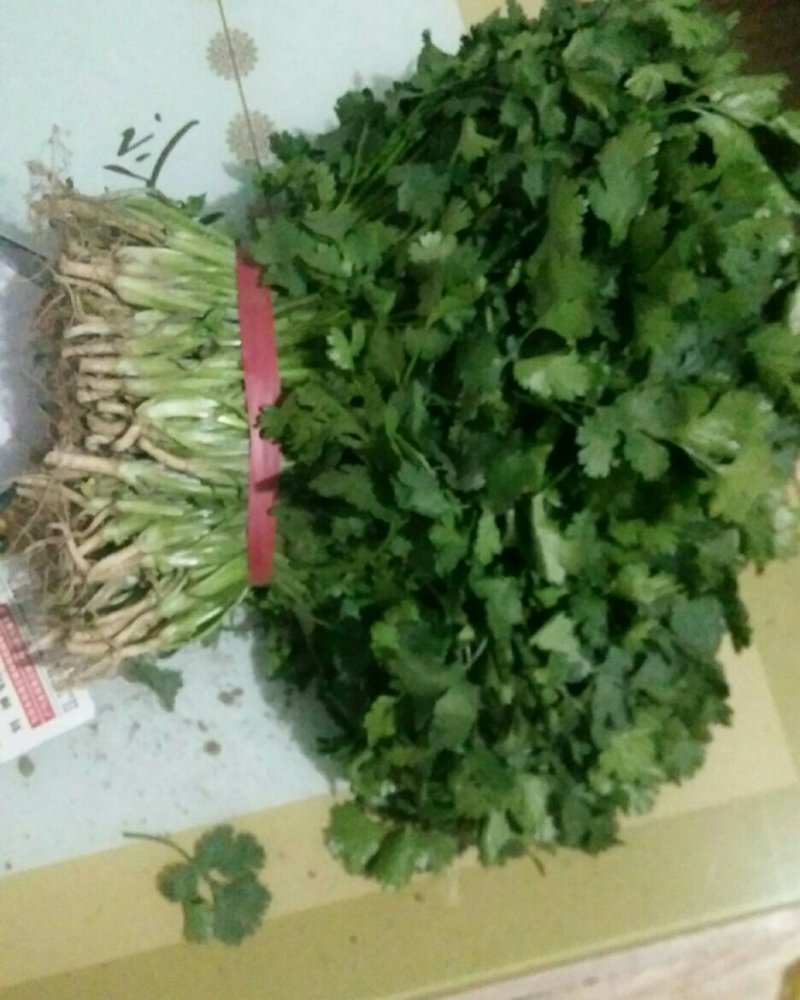 大叶香菜